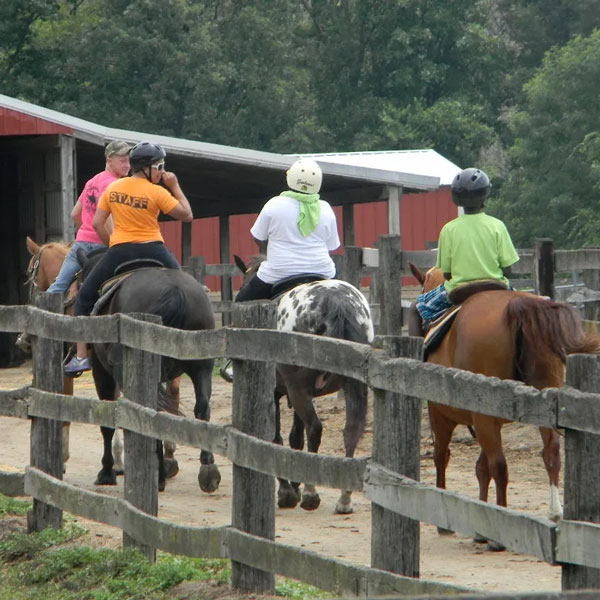 group on horses