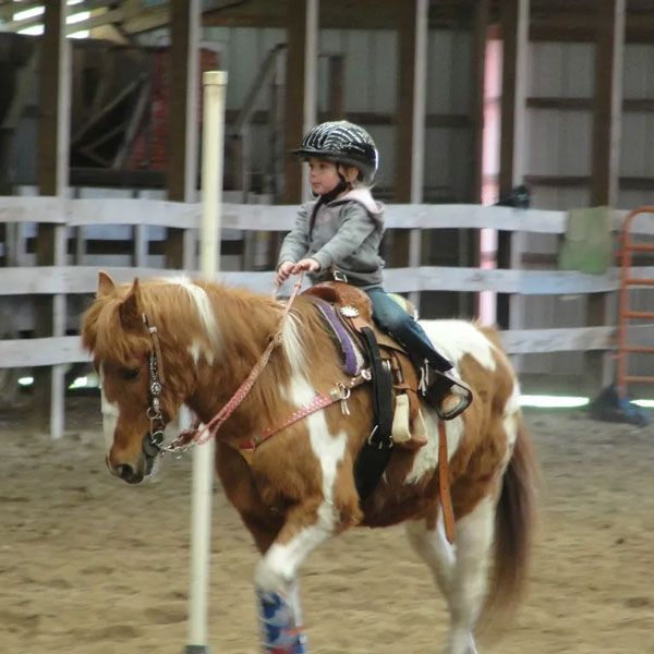 72a7ac96f9805eb65ff2effe0768daee