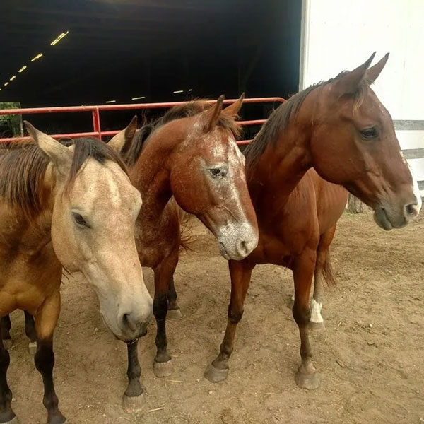 f1aa4504eaa456083f035dde8abef34b